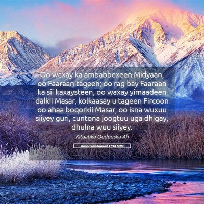 Picture 05 - Boqorradii Kowaad 11:18 SOM - Oo waxay ka ambabbexeen Midyaan, oo Faaraan - Bible Verse Picture
