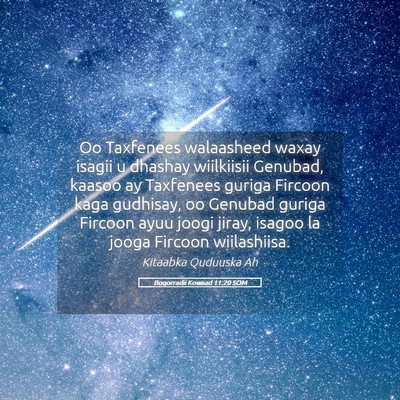 Picture 05 - Boqorradii Kowaad 11:20 SOM - Oo Taxfenees walaasheed waxay isagii u dhashay - Bible Verse Picture