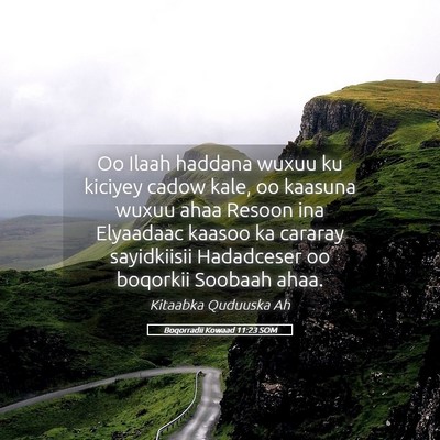 Picture 05 - Boqorradii Kowaad 11:23 SOM - Oo Ilaah haddana wuxuu ku kiciyey cadow kale, oo - Bible Verse Picture