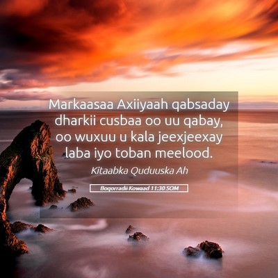 Picture 05 - Boqorradii Kowaad 11:30 SOM - Markaasaa Axiiyaah qabsaday dharkii cusbaa oo uu - Bible Verse Picture