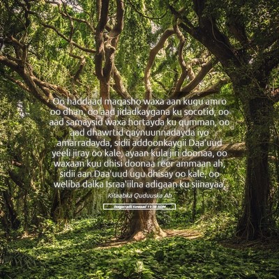 Picture 05 - Boqorradii Kowaad 11:38 SOM - Oo haddaad maqasho waxa aan kugu amro oo dhan, oo - Bible Verse Picture
