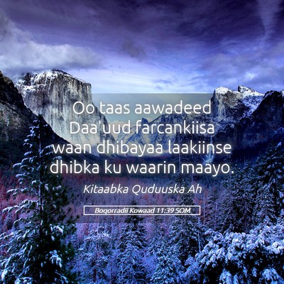 Picture 05 - Boqorradii Kowaad 11:39 SOM - Oo taas aawadeed Daa'uud farcankiisa waan - Bible Verse Picture