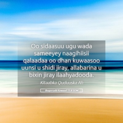 Picture 05 - Boqorradii Kowaad 11:8 SOM - Oo sidaasuu ugu wada sameeyey naagihiisii - Bible Verse Picture