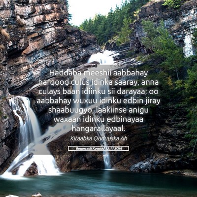 Picture 05 - Boqorradii Kowaad 12:11 SOM - Haddaba meeshii aabbahay harqood culus idinka - Bible Verse Picture