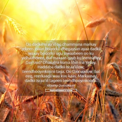 Picture 05 - Boqorradii Kowaad 12:16 SOM - Oo dadkii Israa'iil oo dhammuna markay arkeen - Bible Verse Picture