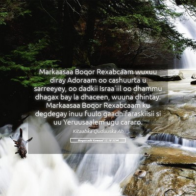Picture 05 - Boqorradii Kowaad 12:18 SOM - Markaasaa Boqor Rexabcaam wuxuu diray Adoraam oo - Bible Verse Picture