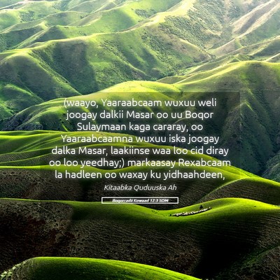 Picture 05 - Boqorradii Kowaad 12:3 SOM - (waayo, Yaaraabcaam wuxuu weli joogay dalkii - Bible Verse Picture