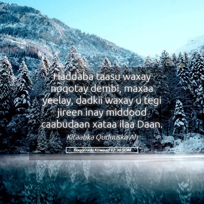 Picture 05 - Boqorradii Kowaad 12:30 SOM - Haddaba taasu waxay noqotay dembi, maxaa yeelay, - Bible Verse Picture