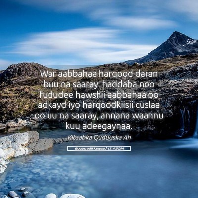 Picture 05 - Boqorradii Kowaad 12:4 SOM - War aabbahaa harqood daran buu na saaray; haddaba - Bible Verse Picture