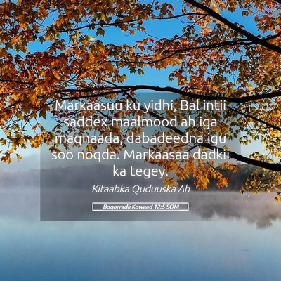Picture 05 - Boqorradii Kowaad 12:5 SOM - Markaasuu ku yidhi, Bal intii saddex maalmood ah - Bible Verse Picture
