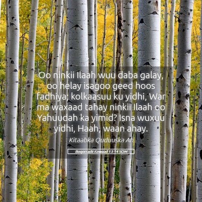 Picture 05 - Boqorradii Kowaad 13:14 SOM - Oo ninkii Ilaah wuu daba galay, oo helay isagoo - Bible Verse Picture