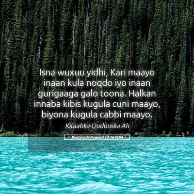 Picture 05 - Boqorradii Kowaad 13:16 SOM - Isna wuxuu yidhi, Kari maayo inaan kula noqdo iyo - Bible Verse Picture