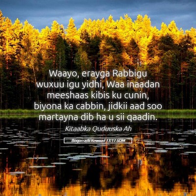 Picture 05 - Boqorradii Kowaad 13:17 SOM - Waayo, erayga Rabbigu wuxuu igu yidhi, Waa - Bible Verse Picture