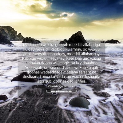 Picture 05 - Boqorradii Kowaad 13:2 SOM - Markaasuu wax ka gees ah meeshii allabariga ku - Bible Verse Picture