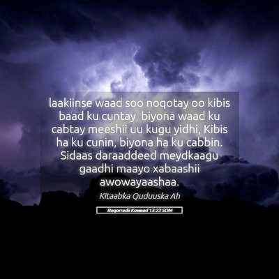 Picture 05 - Boqorradii Kowaad 13:22 SOM - laakiinse waad soo noqotay oo kibis baad ku - Bible Verse Picture