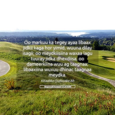 Picture 05 - Boqorradii Kowaad 13:24 SOM - Oo markuu ka tegey ayaa libaax jidkii kaga hor - Bible Verse Picture