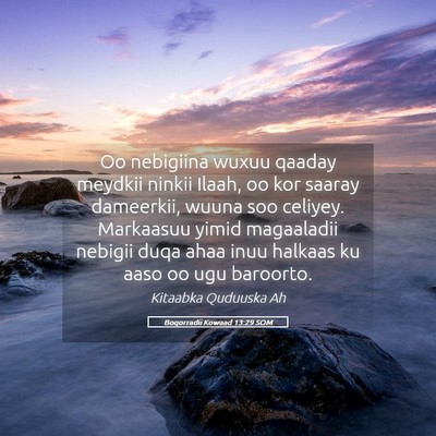 Picture 05 - Boqorradii Kowaad 13:29 SOM - Oo nebigiina wuxuu qaaday meydkii ninkii Ilaah, - Bible Verse Picture