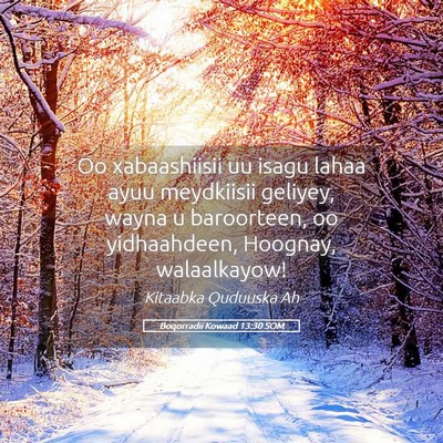 Picture 05 - Boqorradii Kowaad 13:30 SOM - Oo xabaashiisii uu isagu lahaa ayuu meydkiisii - Bible Verse Picture