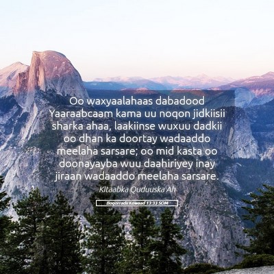 Picture 05 - Boqorradii Kowaad 13:33 SOM - Oo waxyaalahaas dabadood Yaaraabcaam kama uu - Bible Verse Picture