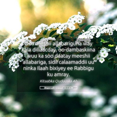 Picture 05 - Boqorradii Kowaad 13:5 SOM - Oo meeshii allabariguna way kala dillaacday, oo - Bible Verse Picture