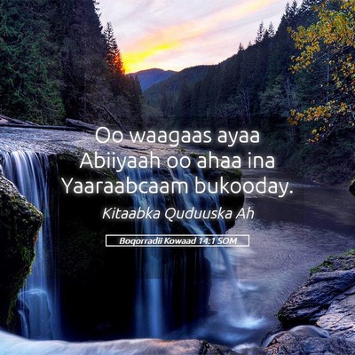 Picture 05 - Boqorradii Kowaad 14:1 SOM - Oo waagaas ayaa Abiiyaah oo ahaa ina Yaaraabcaam - Bible Verse Picture