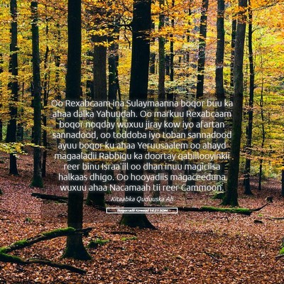Picture 05 - Boqorradii Kowaad 14:21 SOM - Oo Rexabcaam ina Sulaymaanna boqor buu ka ahaa - Bible Verse Picture