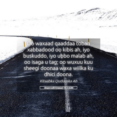 Picture 05 - Boqorradii Kowaad 14:3 SOM - Oo waxaad qaaddaa toban xabbadood oo kibis ah, - Bible Verse Picture