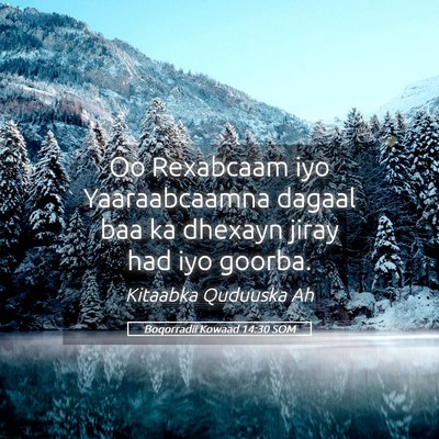 Picture 05 - Boqorradii Kowaad 14:30 SOM - Oo Rexabcaam iyo Yaaraabcaamna dagaal baa ka - Bible Verse Picture