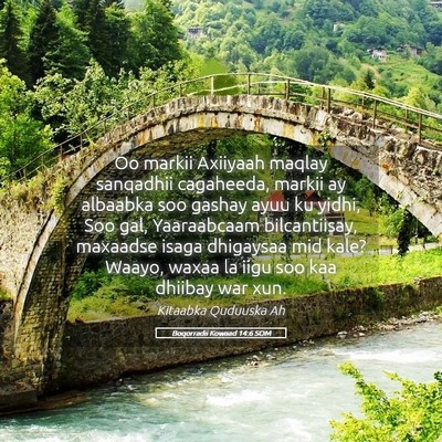 Picture 05 - Boqorradii Kowaad 14:6 SOM - Oo markii Axiiyaah maqlay sanqadhii cagaheeda, - Bible Verse Picture