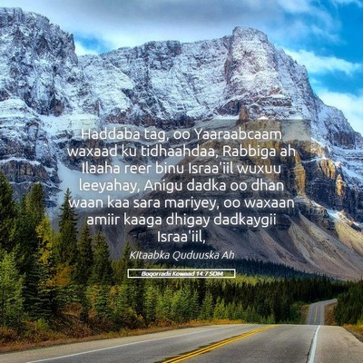 Picture 05 - Boqorradii Kowaad 14:7 SOM - Haddaba tag, oo Yaaraabcaam waxaad ku tidhaahdaa, - Bible Verse Picture
