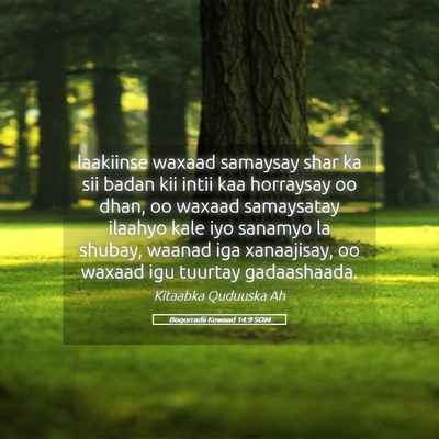 Picture 05 - Boqorradii Kowaad 14:9 SOM - laakiinse waxaad samaysay shar ka sii badan kii - Bible Verse Picture