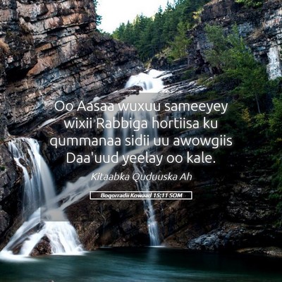 Picture 05 - Boqorradii Kowaad 15:11 SOM - Oo Aasaa wuxuu sameeyey wixii Rabbiga hortiisa ku - Bible Verse Picture