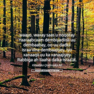 Picture 05 - Boqorradii Kowaad 15:30 SOM - waayo, waxay saas u noqotay Yaaraabcaam - Bible Verse Picture