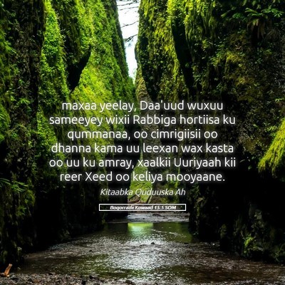 Picture 05 - Boqorradii Kowaad 15:5 SOM - maxaa yeelay, Daa'uud wuxuu sameeyey wixii - Bible Verse Picture