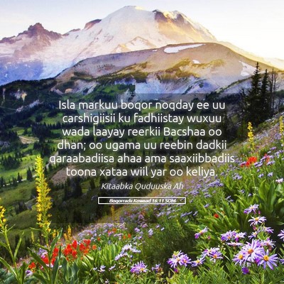 Picture 05 - Boqorradii Kowaad 16:11 SOM - Isla markuu boqor noqday ee uu carshigiisii ku - Bible Verse Picture