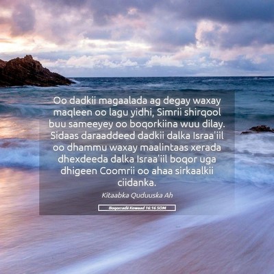 Picture 05 - Boqorradii Kowaad 16:16 SOM - Oo dadkii magaalada ag degay waxay maqleen oo - Bible Verse Picture