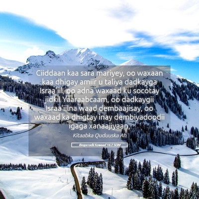 Picture 05 - Boqorradii Kowaad 16:2 SOM - Ciiddaan kaa sara mariyey, oo waxaan kaa dhigay - Bible Verse Picture