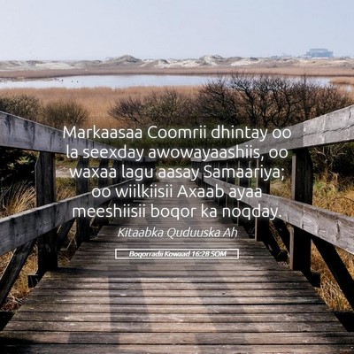 Picture 05 - Boqorradii Kowaad 16:28 SOM - Markaasaa Coomrii dhintay oo la seexday - Bible Verse Picture