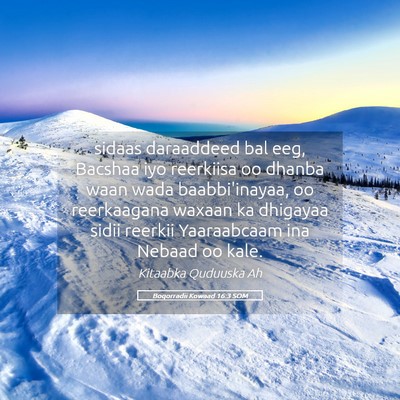 Picture 05 - Boqorradii Kowaad 16:3 SOM - sidaas daraaddeed bal eeg, Bacshaa iyo reerkiisa - Bible Verse Picture