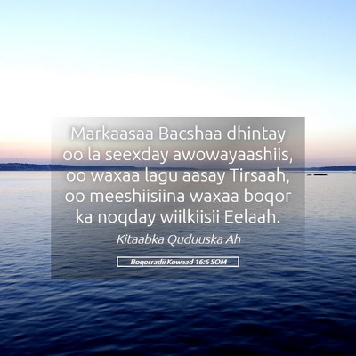 Picture 05 - Boqorradii Kowaad 16:6 SOM - Markaasaa Bacshaa dhintay oo la seexday - Bible Verse Picture