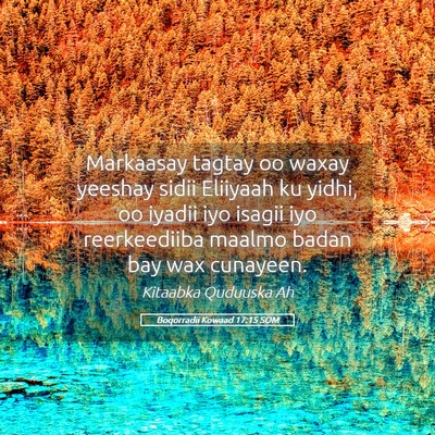 Picture 05 - Boqorradii Kowaad 17:15 SOM - Markaasay tagtay oo waxay yeeshay sidii Eliiyaah - Bible Verse Picture