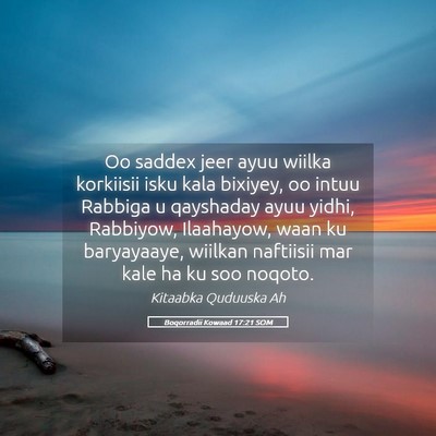 Picture 05 - Boqorradii Kowaad 17:21 SOM - Oo saddex jeer ayuu wiilka korkiisii isku kala - Bible Verse Picture