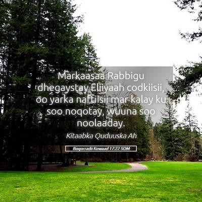 Picture 05 - Boqorradii Kowaad 17:22 SOM - Markaasaa Rabbigu dhegaystay Eliiyaah codkiisii, - Bible Verse Picture