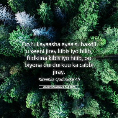 Picture 05 - Boqorradii Kowaad 17:6 SOM - Oo tukayaasha ayaa subaxdii u keeni jiray kibis - Bible Verse Picture
