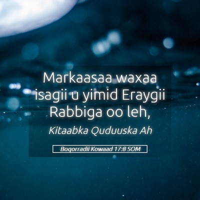 Picture 05 - Boqorradii Kowaad 17:8 SOM - Markaasaa waxaa isagii u yimid Eraygii Rabbiga oo - Bible Verse Picture
