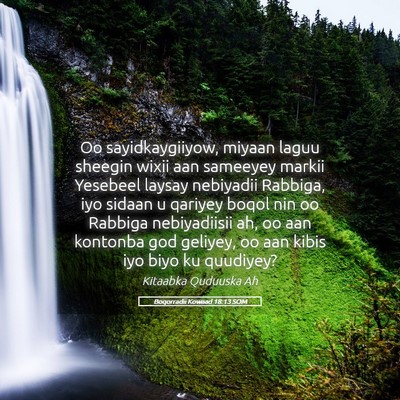 Picture 05 - Boqorradii Kowaad 18:13 SOM - Oo sayidkaygiiyow, miyaan laguu sheegin wixii aan - Bible Verse Picture