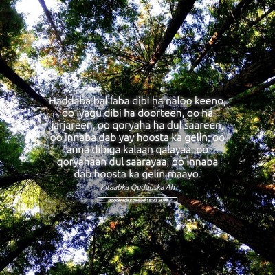 Picture 05 - Boqorradii Kowaad 18:23 SOM - Haddaba bal laba dibi ha naloo keeno, oo iyagu - Bible Verse Picture