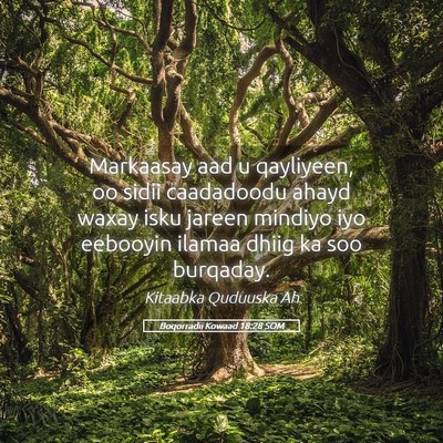 Picture 05 - Boqorradii Kowaad 18:28 SOM - Markaasay aad u qayliyeen, oo sidii caadadoodu - Bible Verse Picture