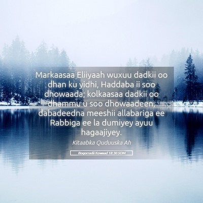 Picture 05 - Boqorradii Kowaad 18:30 SOM - Markaasaa Eliiyaah wuxuu dadkii oo dhan ku yidhi, - Bible Verse Picture