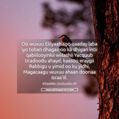 Picture 05 - Boqorradii Kowaad 18:31 SOM - Oo wuxuu Eliiyaah soo qaaday laba iyo toban - Bible Verse Picture